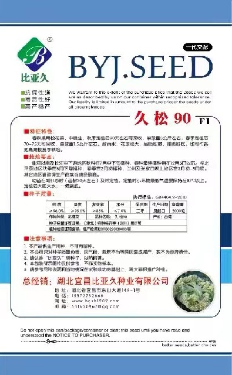 松花菜种子久松90久松100中熟大花球耐寒采收期长