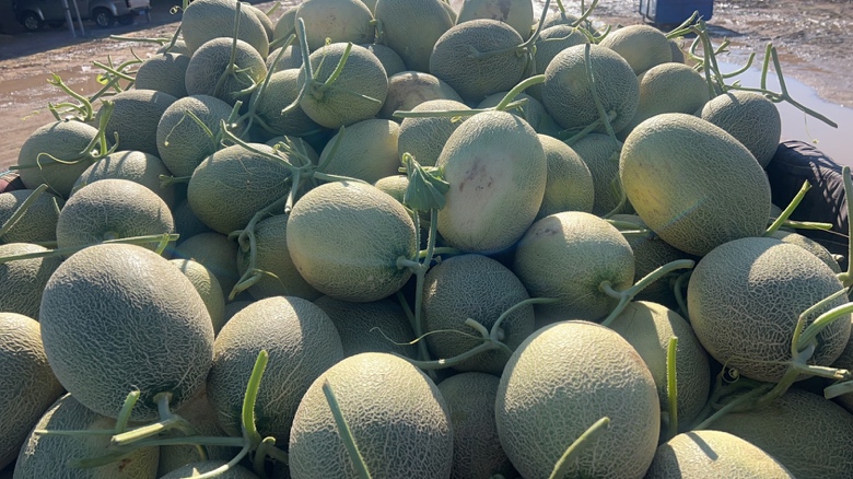 哈密瓜酸奶榨汁成品图