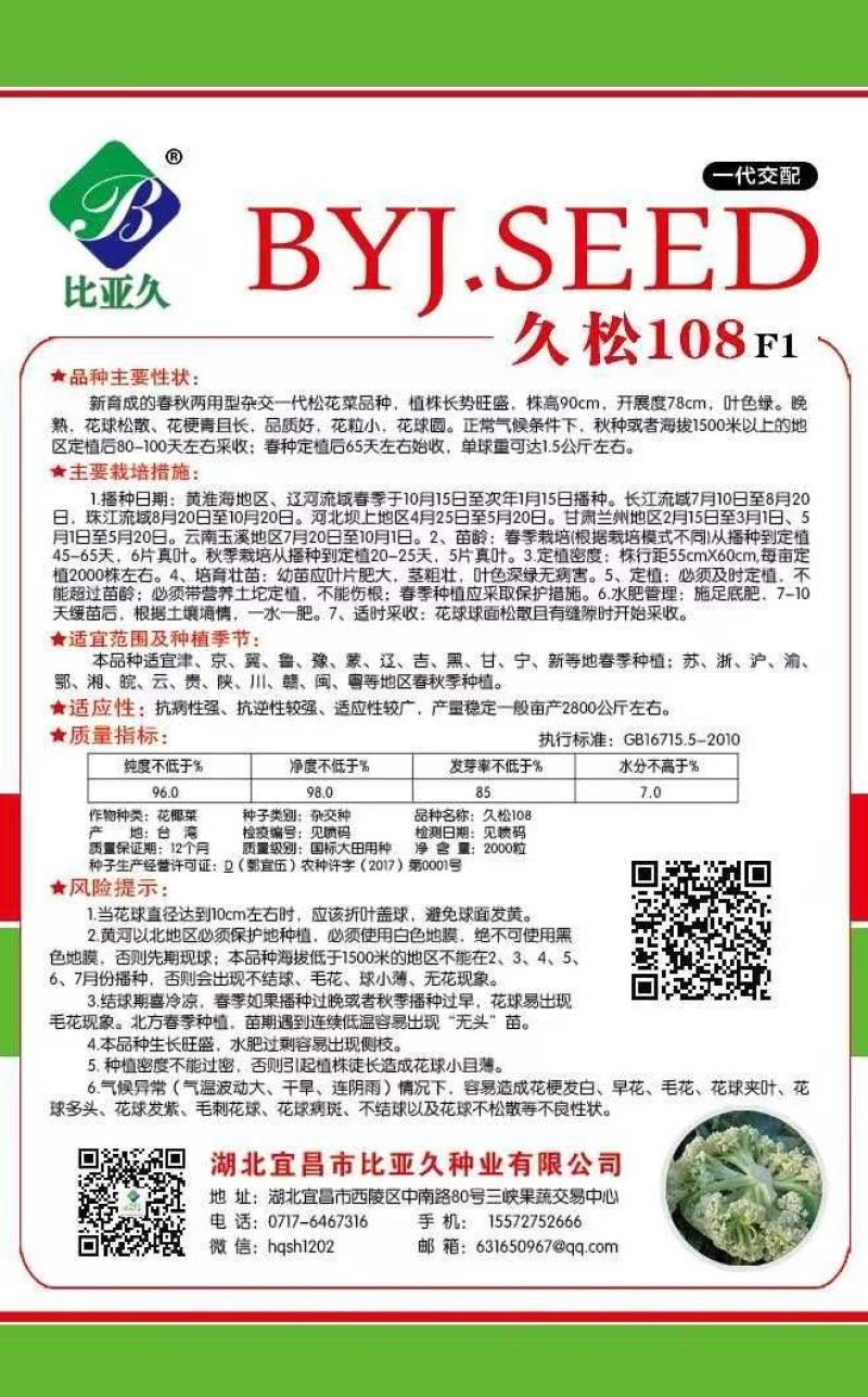 松花菜种子久松108久松120晚熟大花球高产花椰菜子