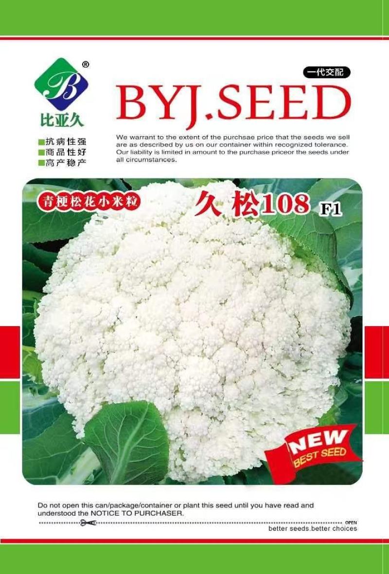 松花菜种子久松108久松120晚熟大花球高产花椰菜子