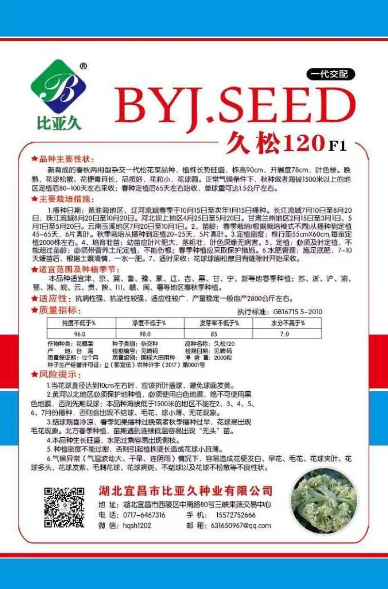 松花菜种子久松108久松120晚熟大花球高产花椰菜子
