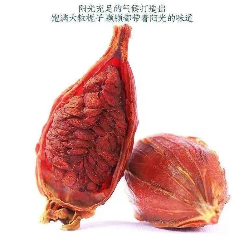 栀子山栀子可泡茶调料中药材，批发零售各种规格中药材