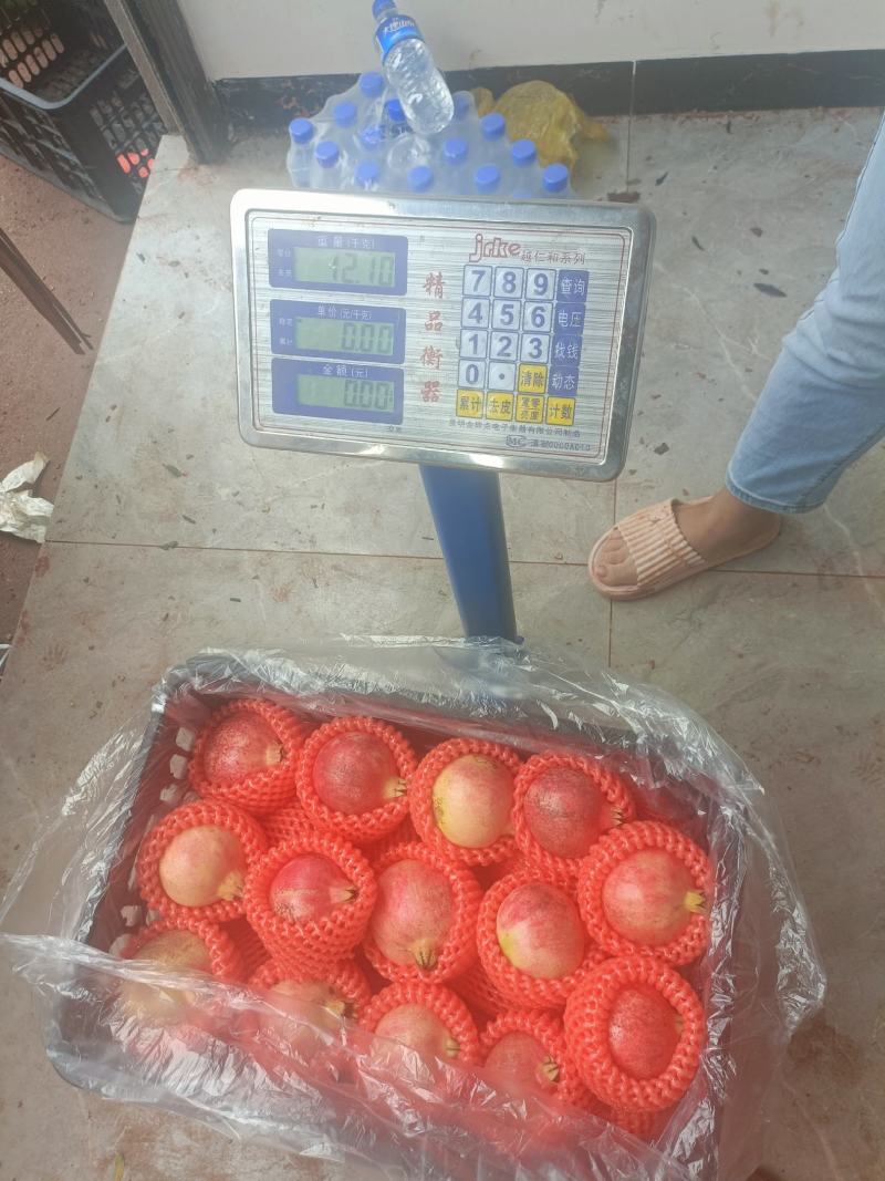 【云南石榴】突尼斯软籽石榴现摘现发对接各大市场电商