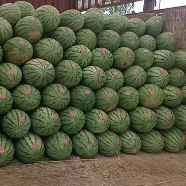 西瓜便宜了