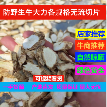 产地直销仿野生牛大力无硫干货切片各规格牛大力段