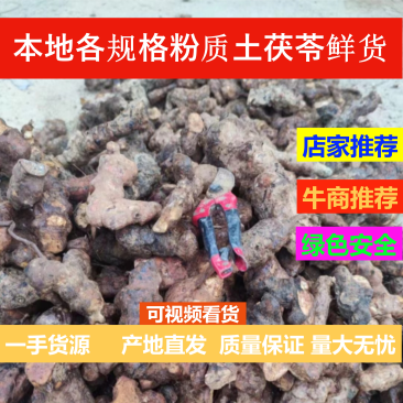产地直销鲜货各规格土茯苓本地粉质土茯苓（中大小土）