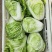 夏阳大白菜，无虫，大量有货，每天可以装6万斤，冷库打冷