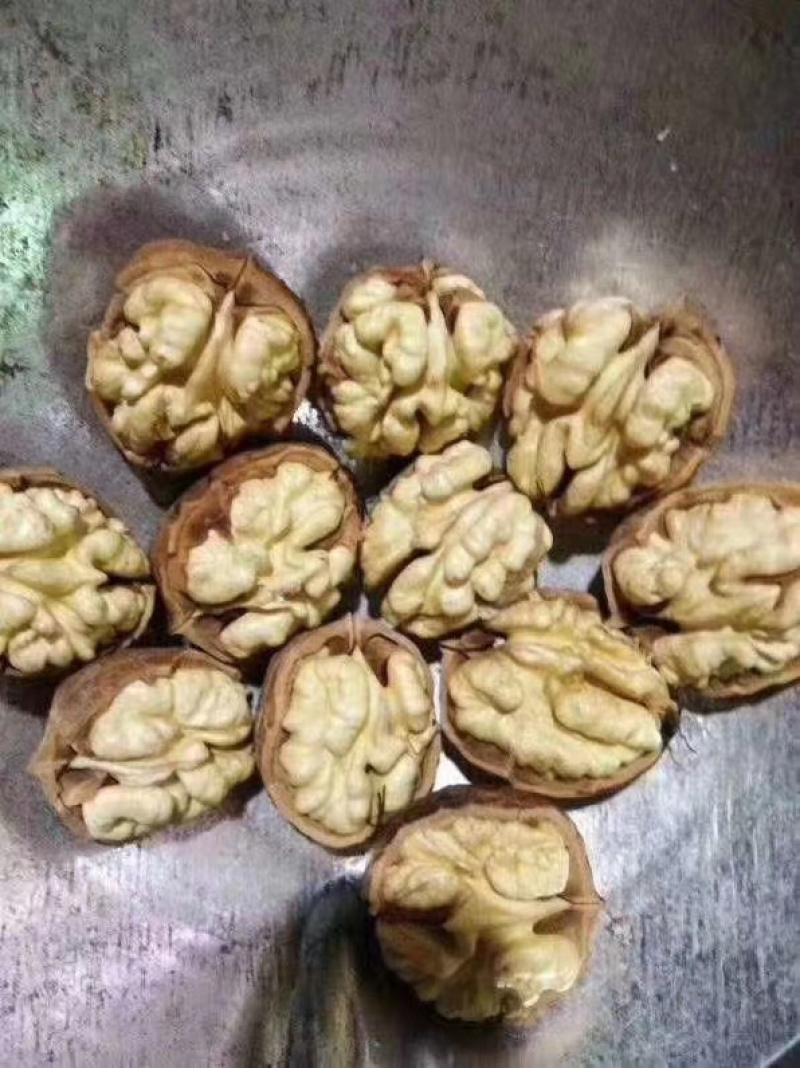 云南绿皮鲜核桃大量上市……基地供货中……