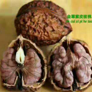 云南紫皮核桃批发，支持一件代发，整车发货！