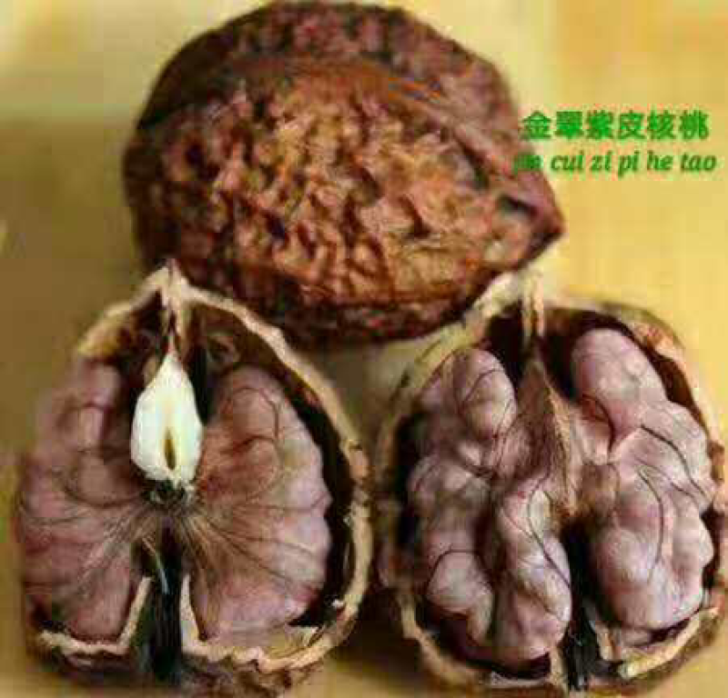 云南紫皮核桃批发，支持一件代发，整车发货！