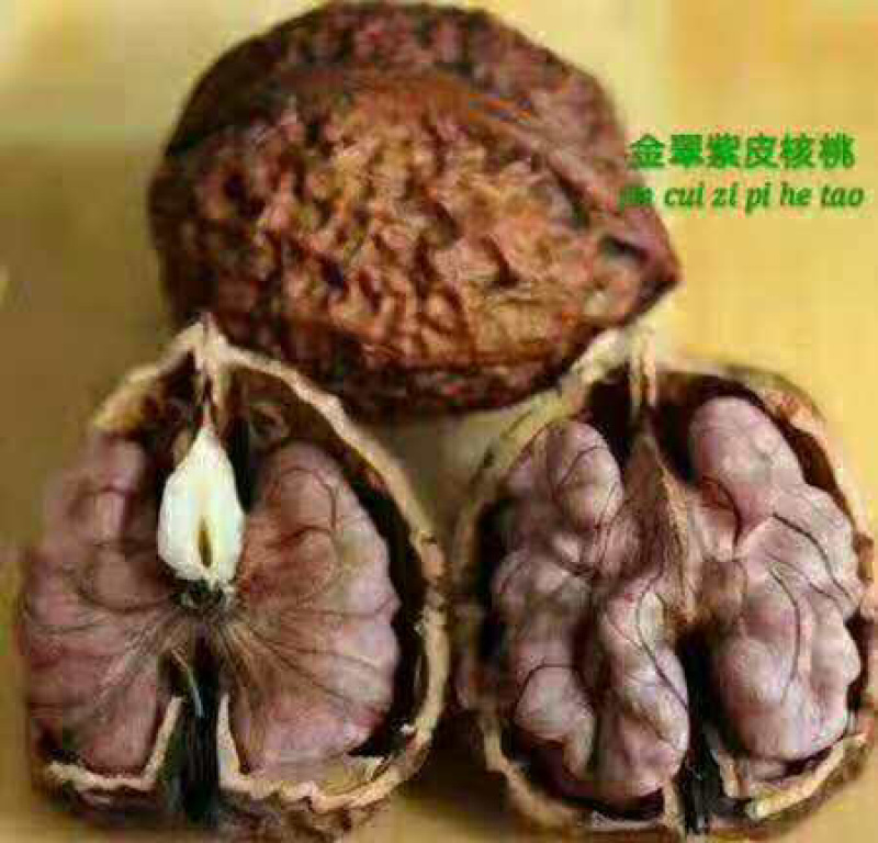 云南紫皮核桃批发，支持一件代发，整车发货！