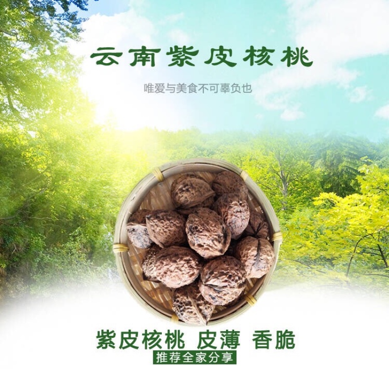 云南紫皮核桃批发，支持一件代发，整车发货！