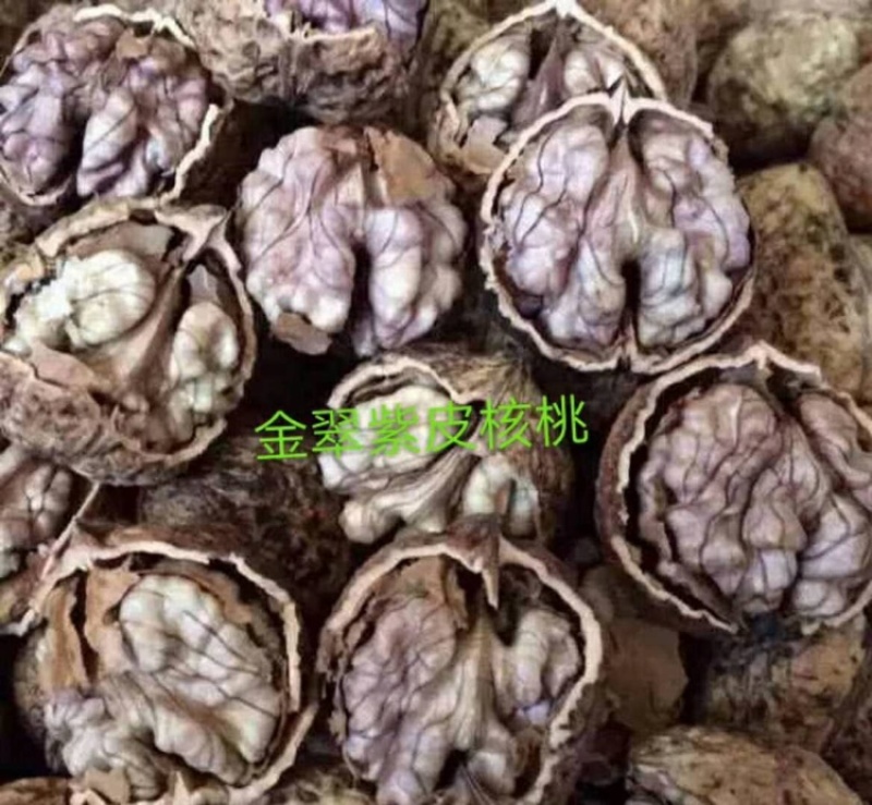 云南紫皮核桃批发，支持一件代发，整车发货！
