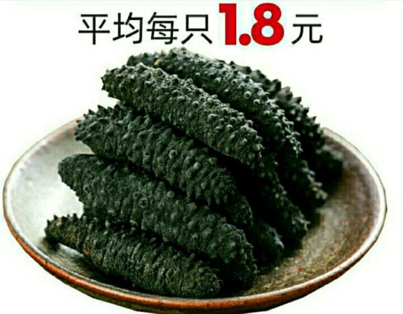 淡干海参小黑刺参干货泡发率高滋补营养美味包邮