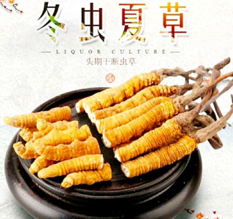 西藏那曲冬虫夏草野生断虫草经济实惠（9元1克包邮）