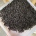 正山小种工作茶批发