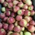 鲁丽苹果大量上市中，有想法的老板们抓紧时间联系我