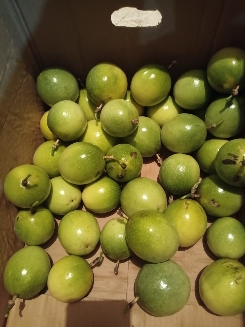 云南黄金百香果大量上市