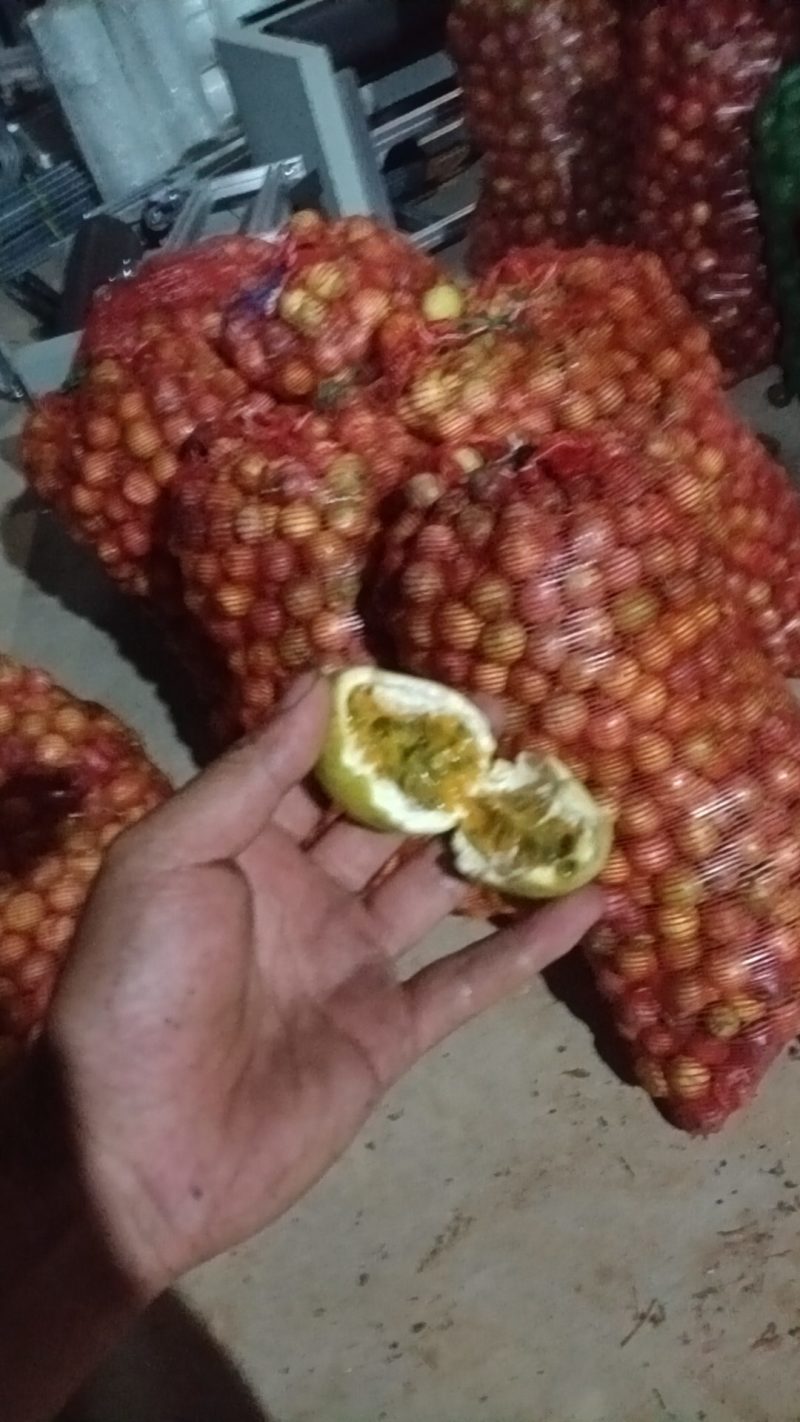 云南黄金百香果大量上市