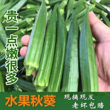 秋葵羊豆角