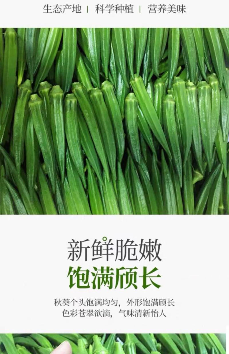 秋葵羊豆角