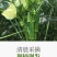 秋葵羊豆角
