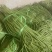 精品农家长豆，长豆角，四季豆，原产地一手货源。需要联系