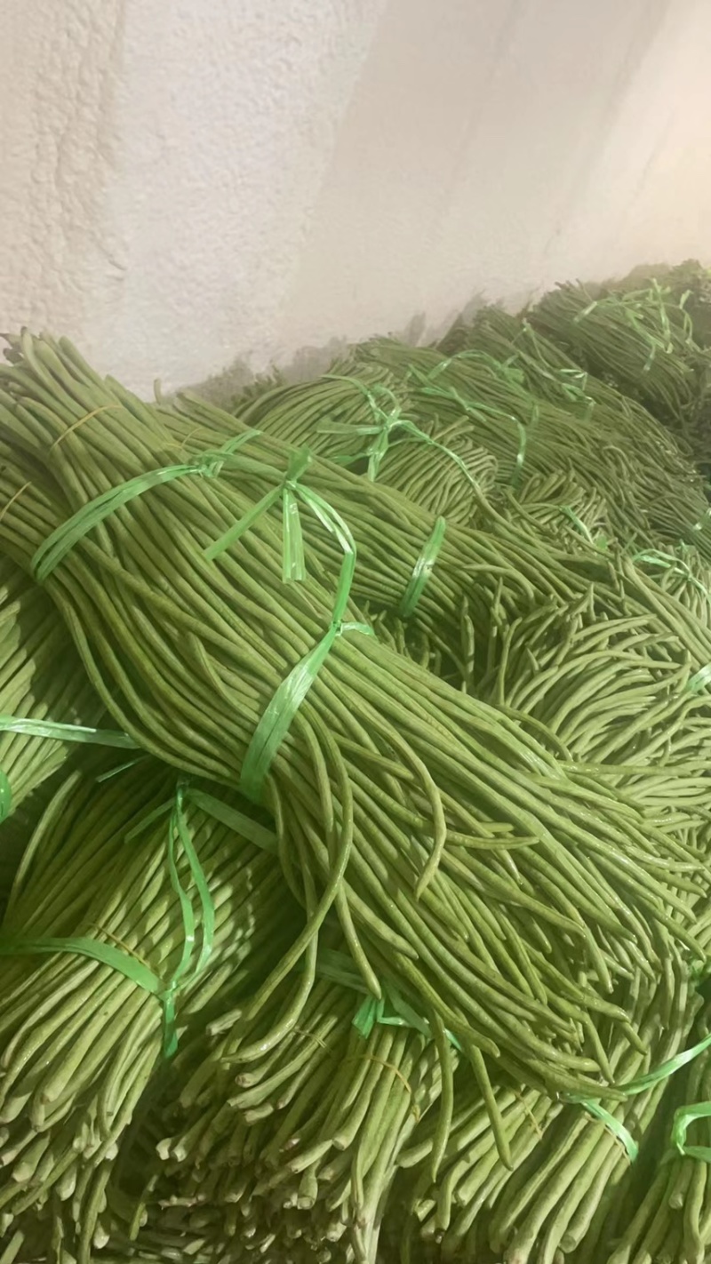 精品农家长豆，长豆角，四季豆，原产地一手货源。需要联系