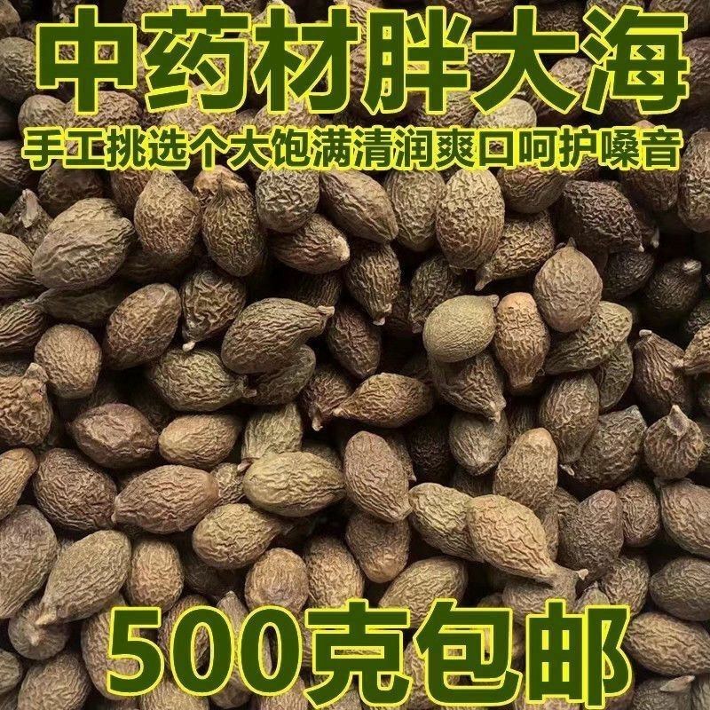 (胖大海)特产胖大海正宗野生无硫精选清润喉咙护嗓大海