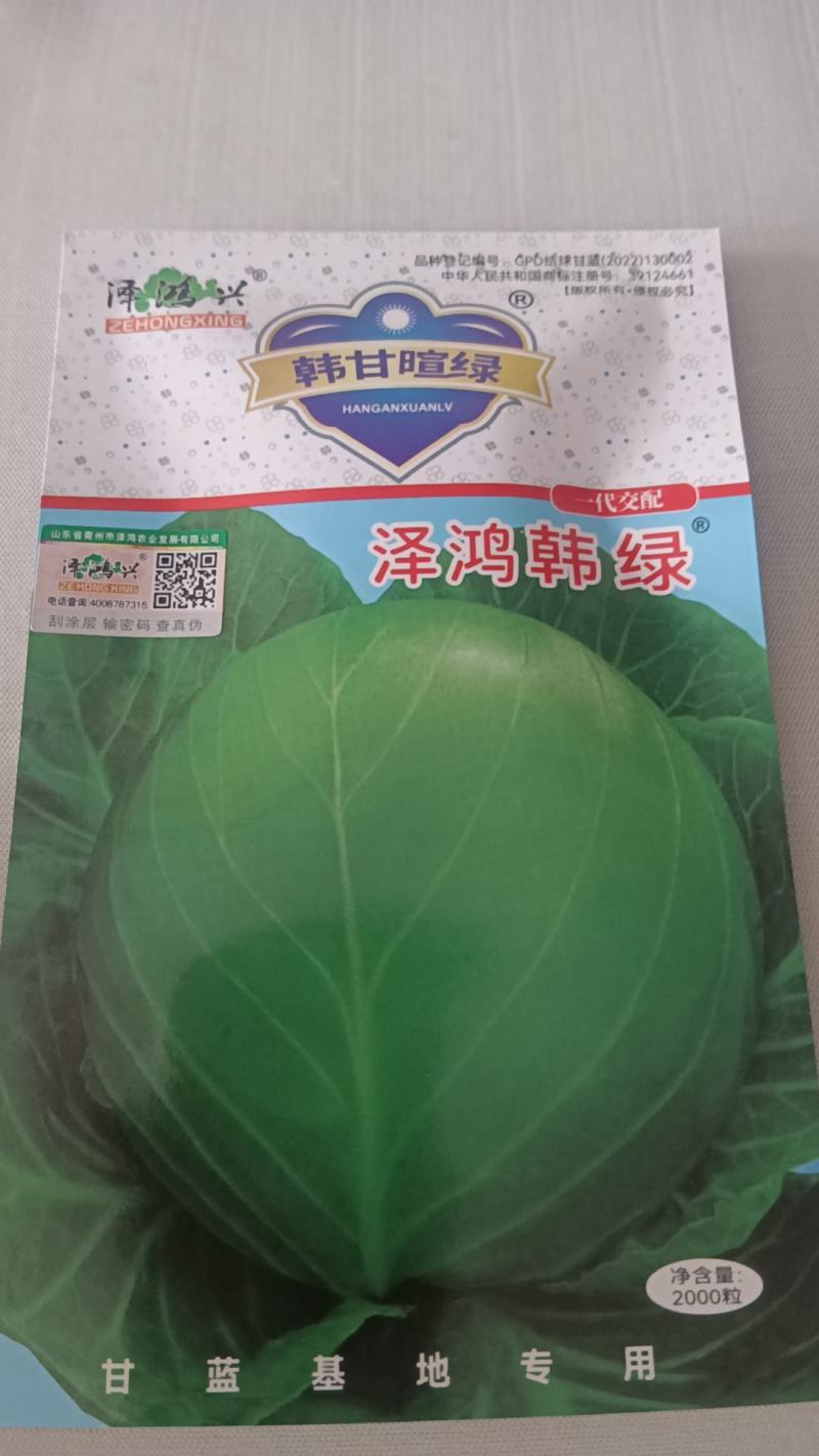 韩绿甘蓝种子全国直发包邮到家快递物流均可发货