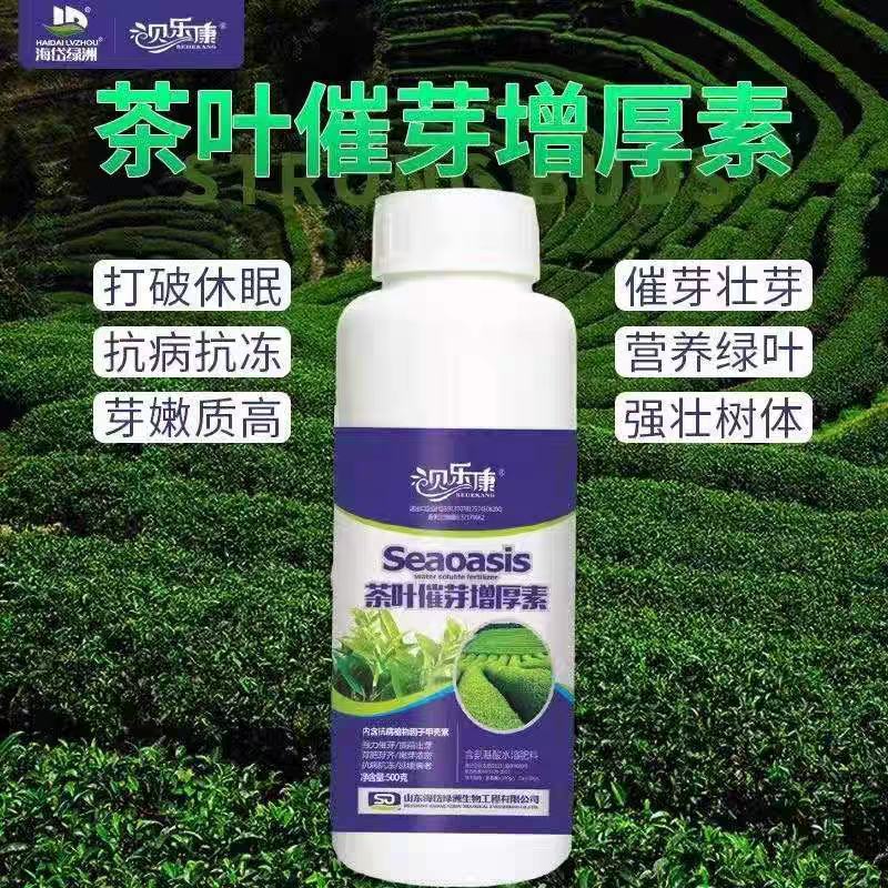 茶叶专用叶面肥料茶叶催芽宝茶叶催芽剂茶叶催芽素花叶黄叶落