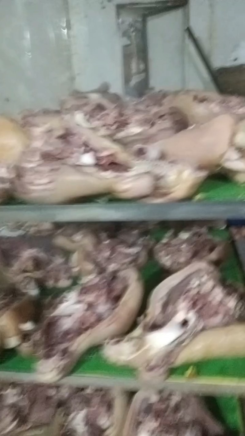 精品清真牛副产品工厂直供牛头肉纯干无水鲜牛肉大量批发