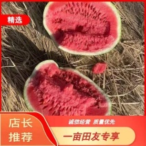 精品宁夏硒砂瓜一手货源各种规格都有需要的联系