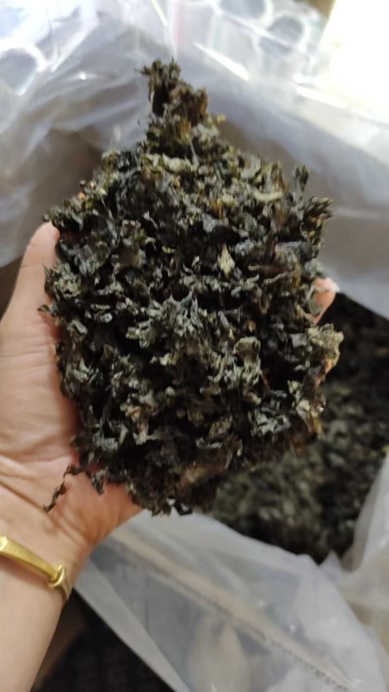 野生地皮菜干菜