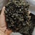 野生地皮菜干菜