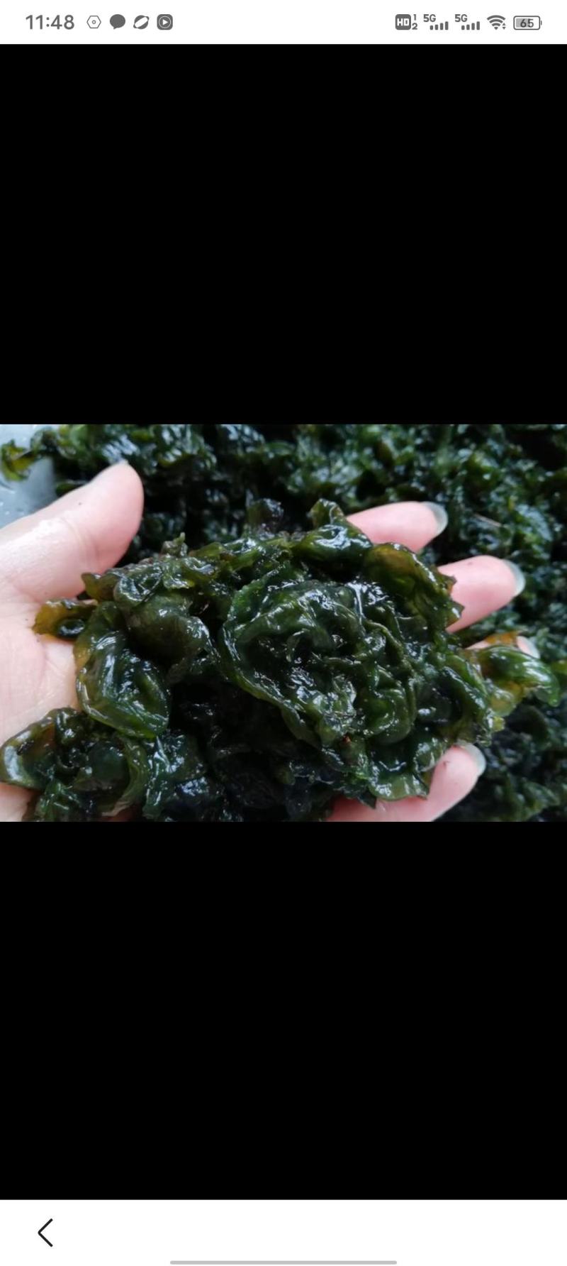 野生地皮菜干菜
