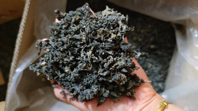 野生地皮菜干菜