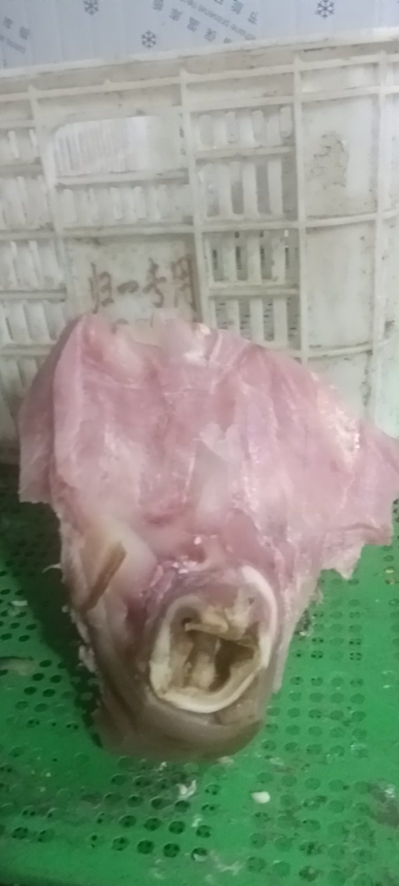 精品清真熟食-牛头肉喉头工厂现货大量批发欢迎咨询