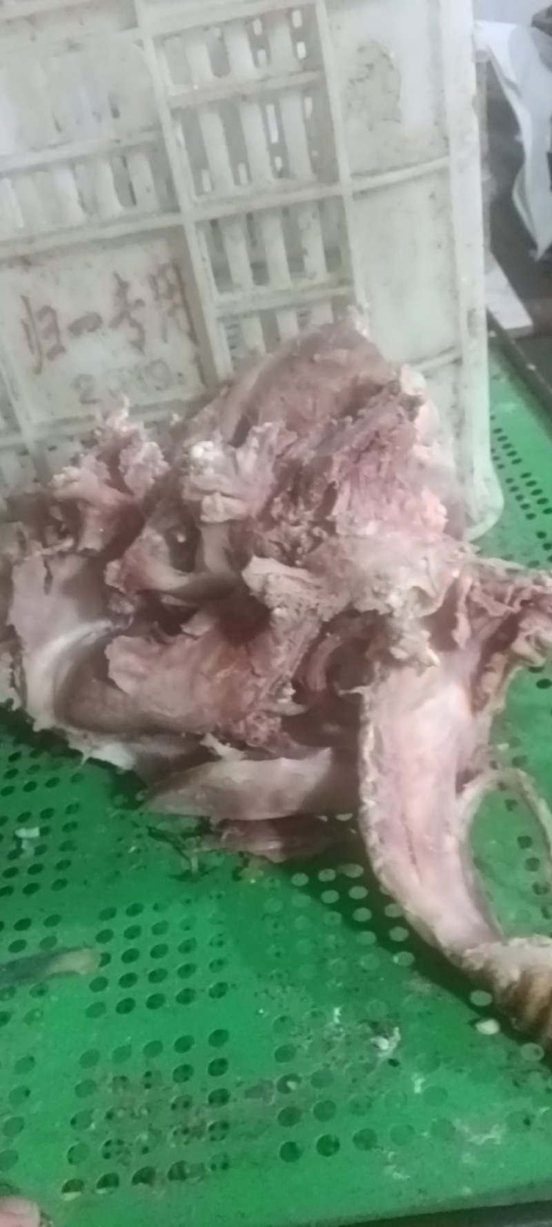精品清真熟食-牛头肉喉头工厂现货大量批发欢迎咨询