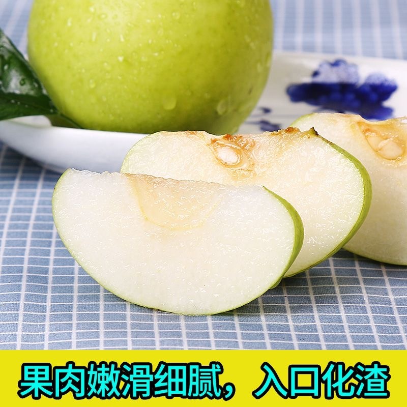 河北翠玉蜜梨，大量上市中一手货源口感脆甜专业梨果代办