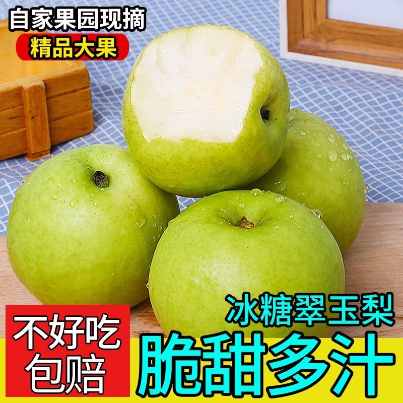 河北翠玉蜜梨，大量上市中一手货源口感脆甜专业梨果代办