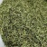 明前特级【出口芽头】绿茶全年不间断！【属于特级毛峰黄芽】