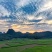 冰鲜桑叶食用桑叶桑芽菜大量现货产地直销无添加剂桑叶菜