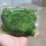 冰鲜桑叶食用桑叶桑芽菜大量现货产地直销无添加剂桑叶菜