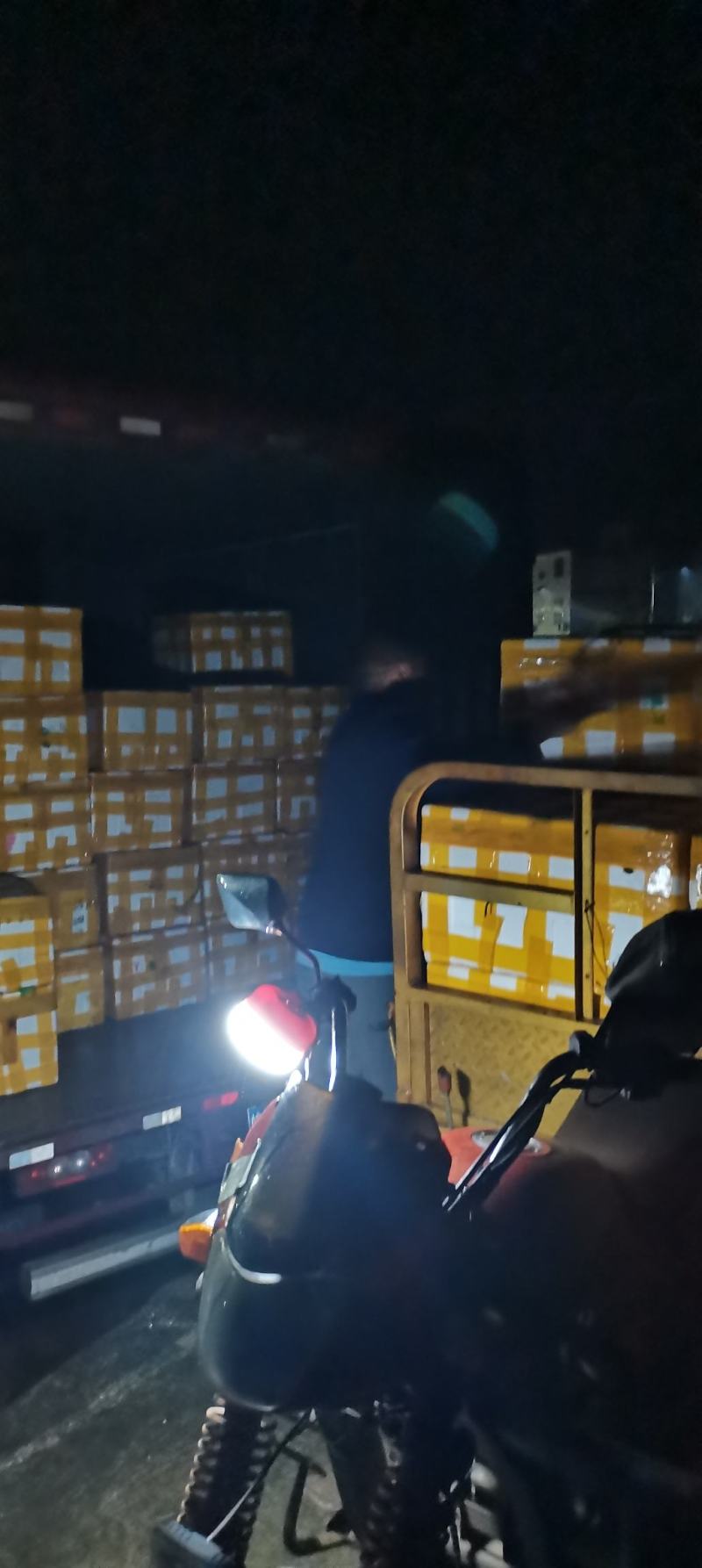 冰鲜桑叶食用桑叶桑芽菜大量现货产地直销无添加剂桑叶菜