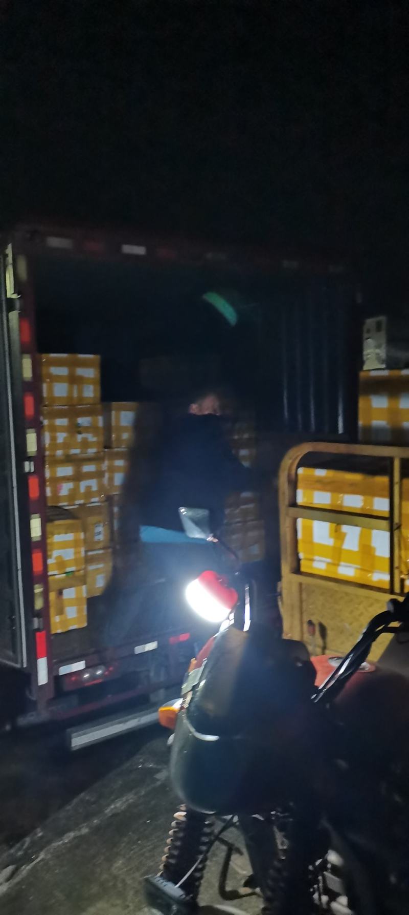 冰鲜桑叶食用桑叶桑芽菜大量现货产地直销无添加剂桑叶菜