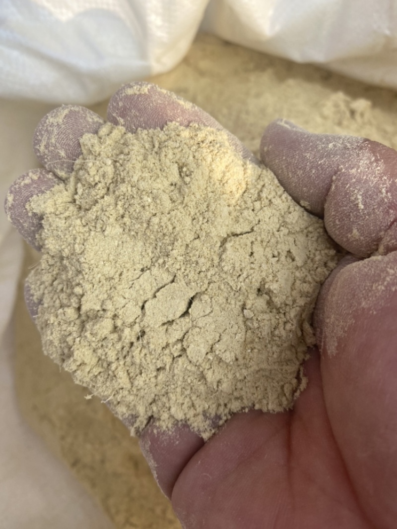 优质干姜粉大货出售