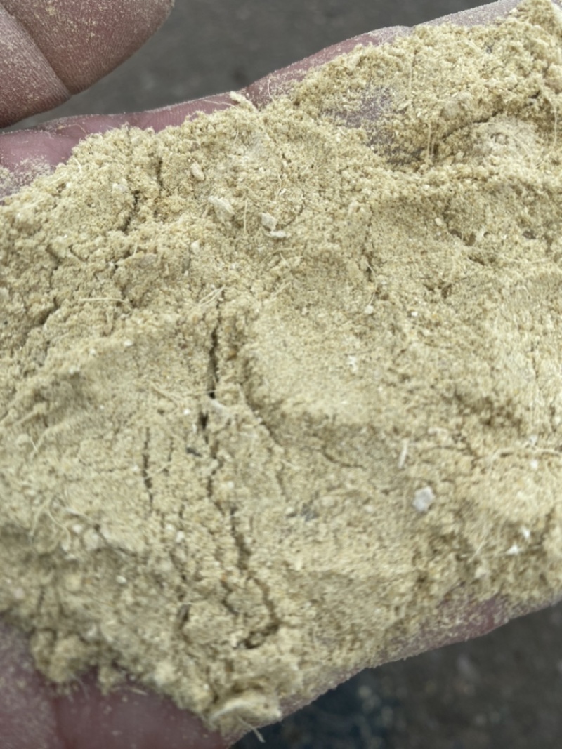 优质干姜粉大货出售