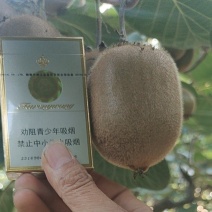 亚特猕猴桃！早熟品种猕猴桃！果型好！颜色好！甜度高！