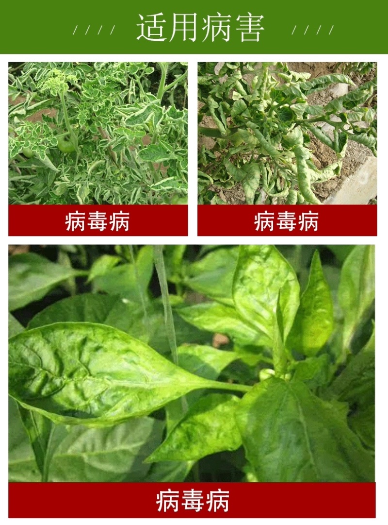 20%吗胍乙酸铜病毒病小叶病花叶病